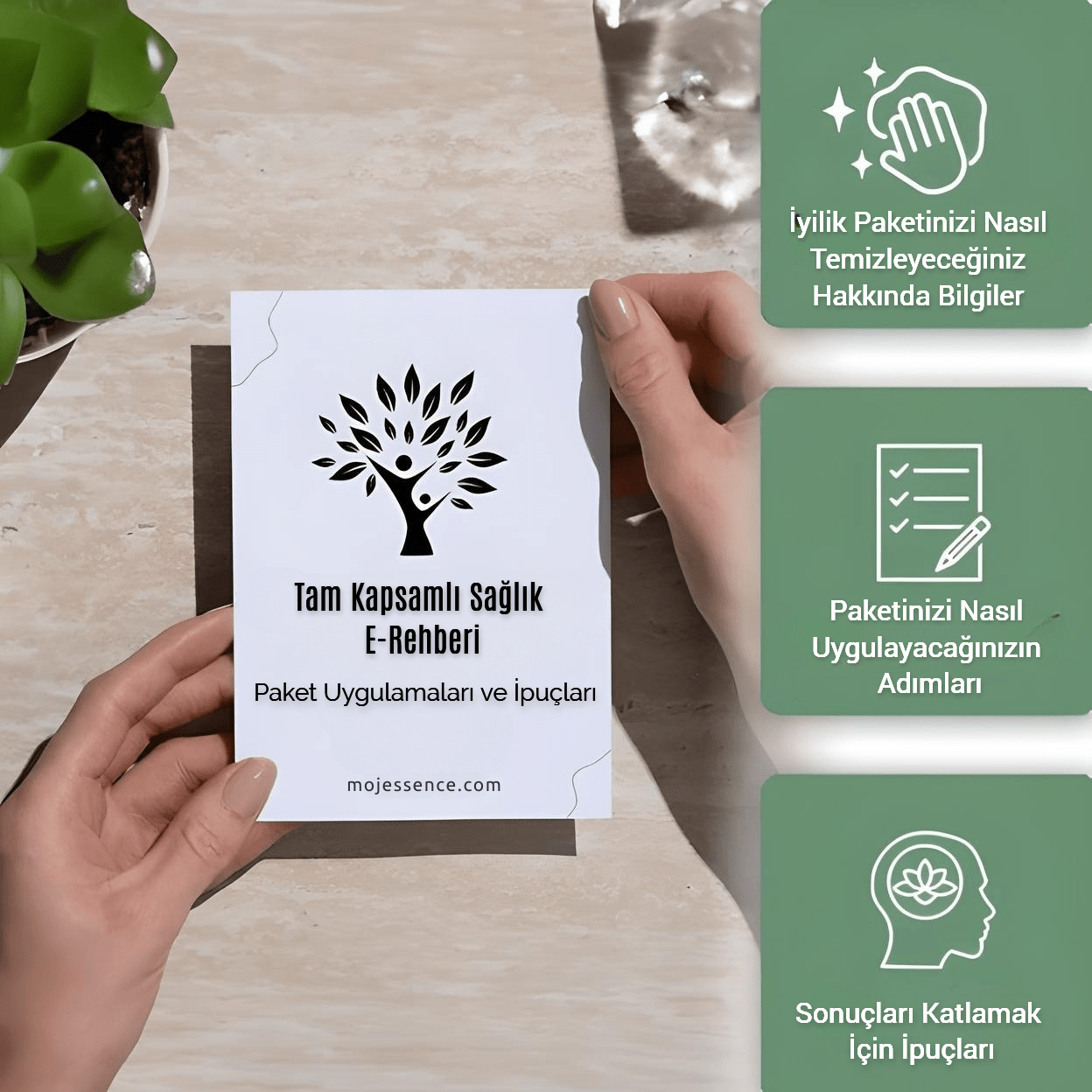 Moj Castor Denge Paketi (Korse ve Hint Yağı)